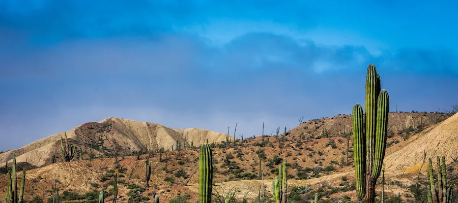 Baja Bound Mexican Insurance