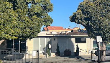 Bay Area Endodontics