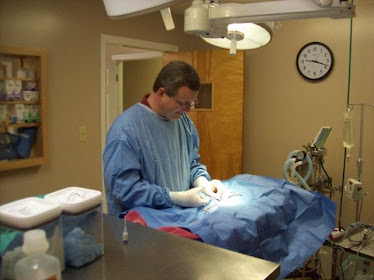 Baytree Animal Hospital