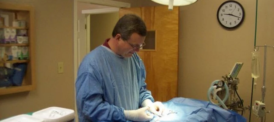 Baytree Animal Hospital