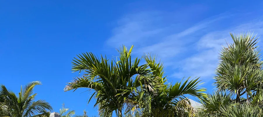 Beach Boutique Rentals