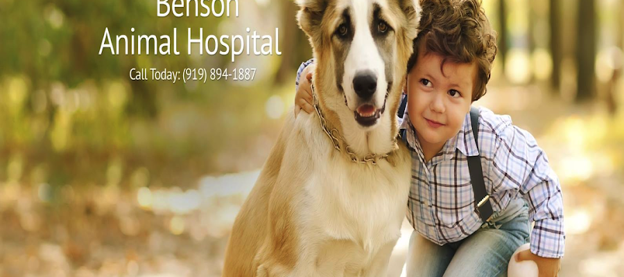 Benson Animal Hospital