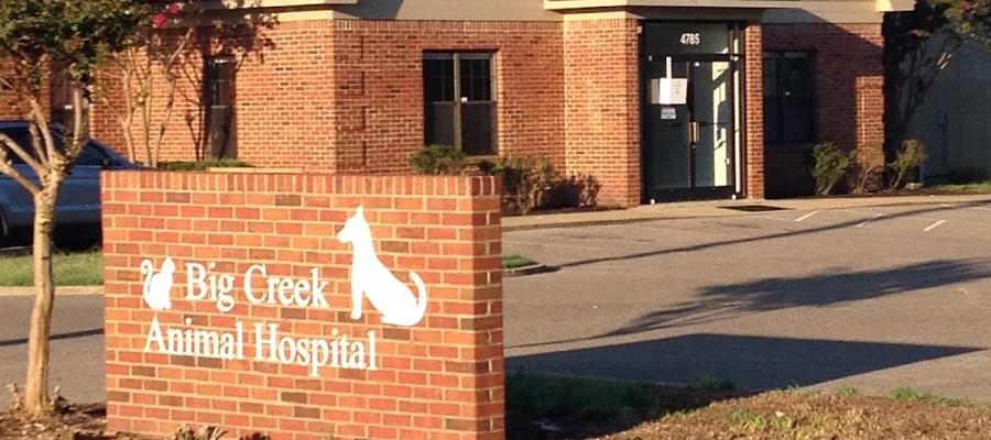 Big Creek Animal Hospital