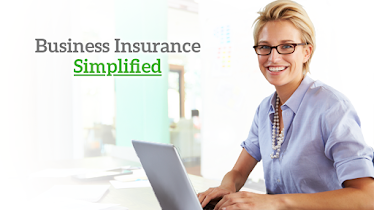 BizInsure LLC