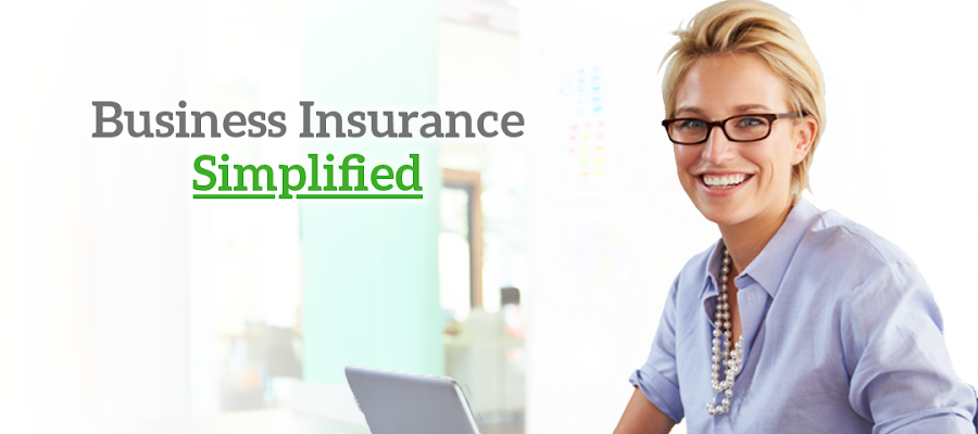 BizInsure LLC