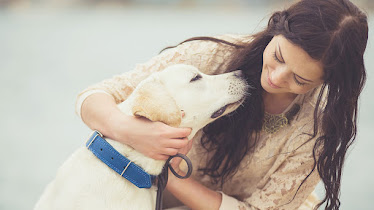 Black Dog Animal Hospital