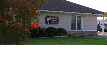 Blackwell Animal Hospital
