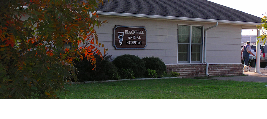 Blackwell Animal Hospital