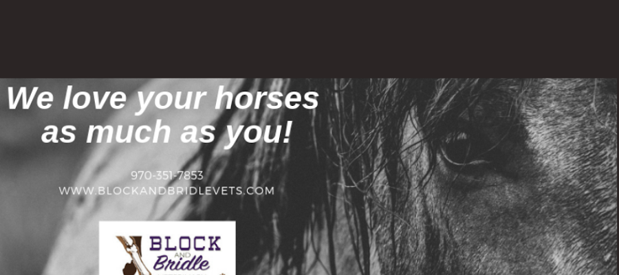 Block & Bridle Veterinary Service