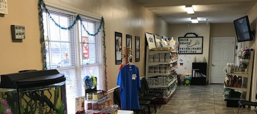 BLUE GRASS VETERINARY HOSPITAL