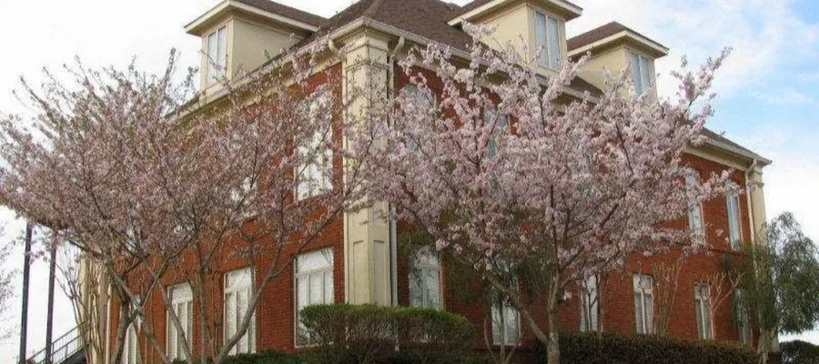 Botts Dental Spa - Cordova