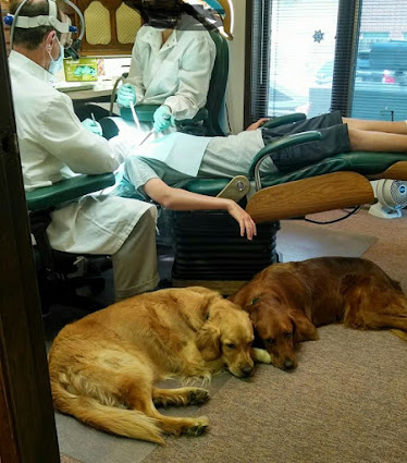 Boulder Dentistry Michael A Bentz DDS