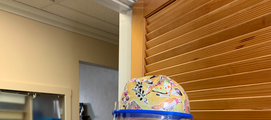 Brazos Valley Dental Arts| Dr. Tamie Erratt | Dr. Stephanie Reeh