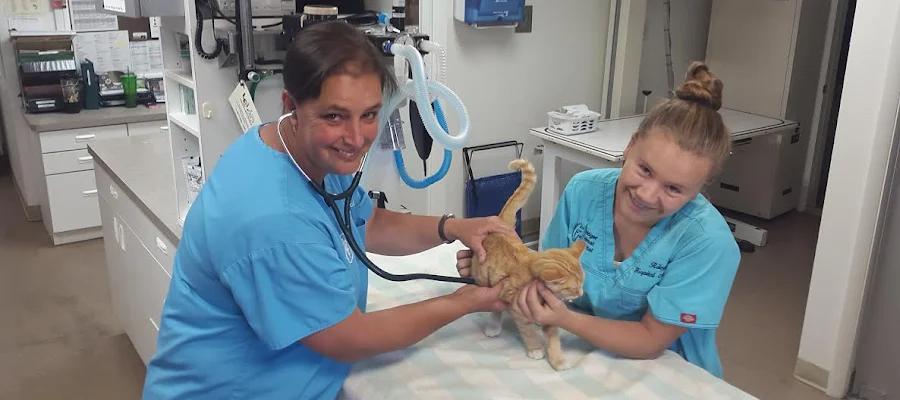 Bridger Animal Hospital & Haystack Pet Resort
