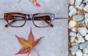 Briggs Vision Group Optique