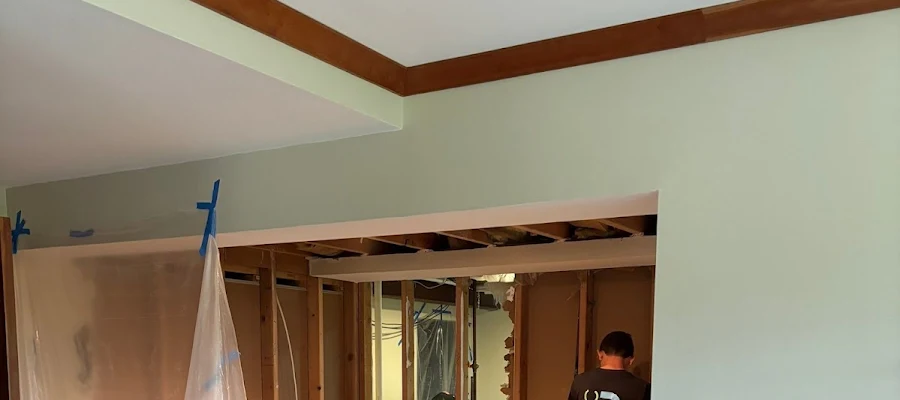 Brisc Plumbing