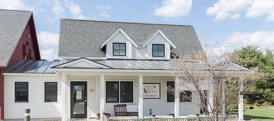 Bristol Animal Hospital