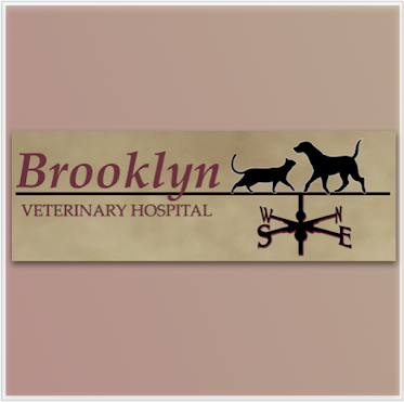 Brooklyn Veterinary Hospital