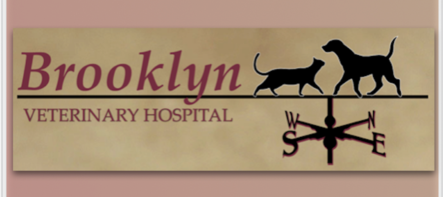 Brooklyn Veterinary Hospital