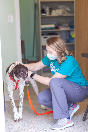 Brookville Animal Hospital