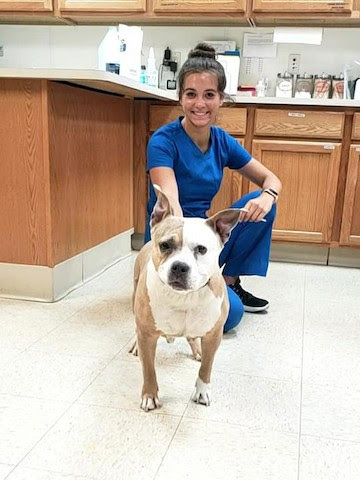 Brown Animal Hospital