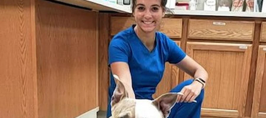 Brown Animal Hospital