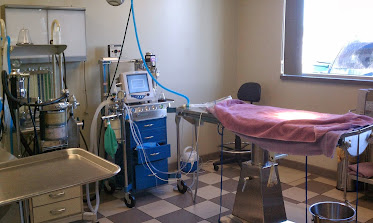 Buffalo Companion Animal Clinic