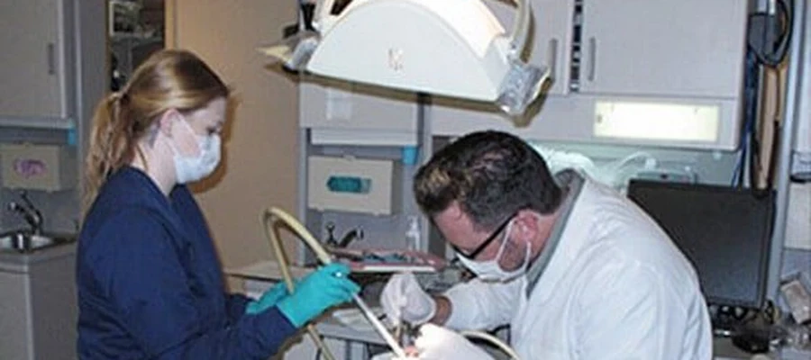 Burgess Dental