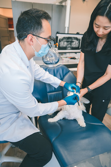 Burien Signature Dentistry
