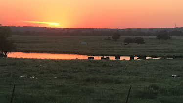 Bynum Veterinary Clinic