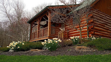 Cabins & Candlelight