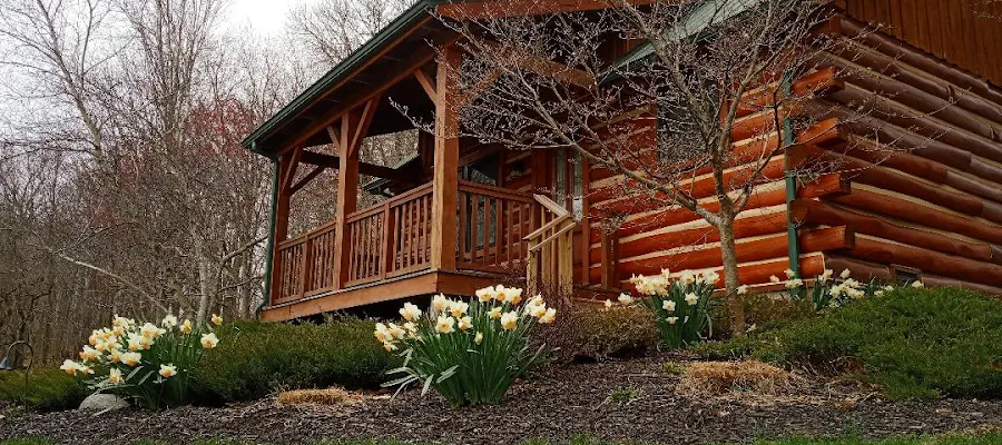 Cabins & Candlelight
