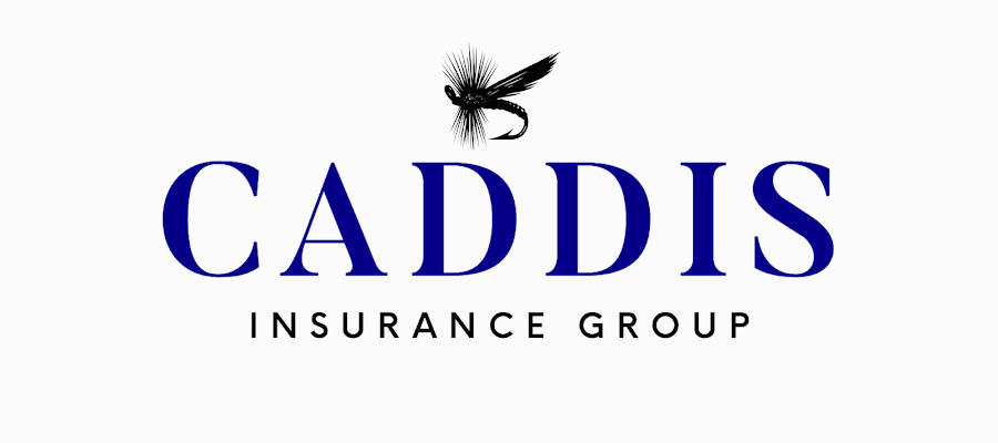 Caddis Insurance Group