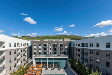 Cadence Apartments