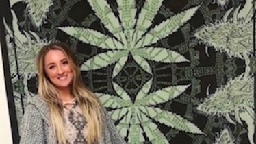 Cannabis Connection - Medical Marijuana Doctors / Card