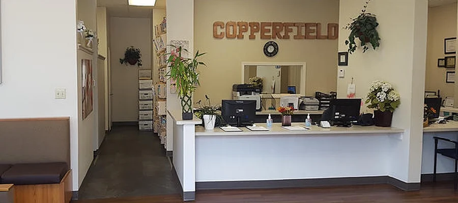 Castle Dental & Orthodontics - Houston, TX (Copperwood Village)