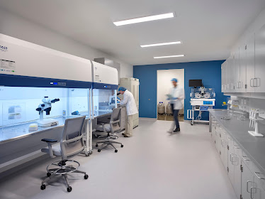 CCRM Fertility of Northern Virginia - Vienna