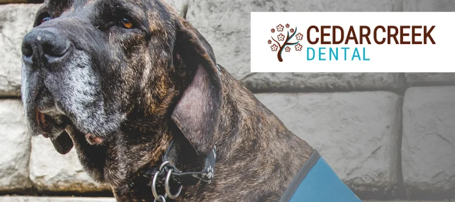 Cedar Creek Dental