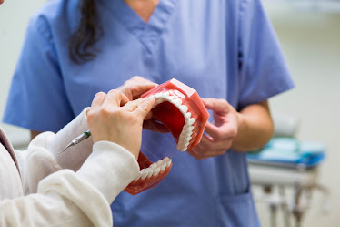 Central New England Dental Associates - Auburn