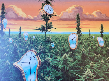 CERTIFIED MARIJUANA DOCTORS