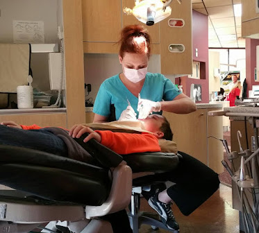 Chadwick Webster DDS