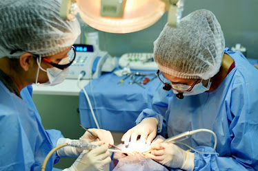 Charlotte DentalPro