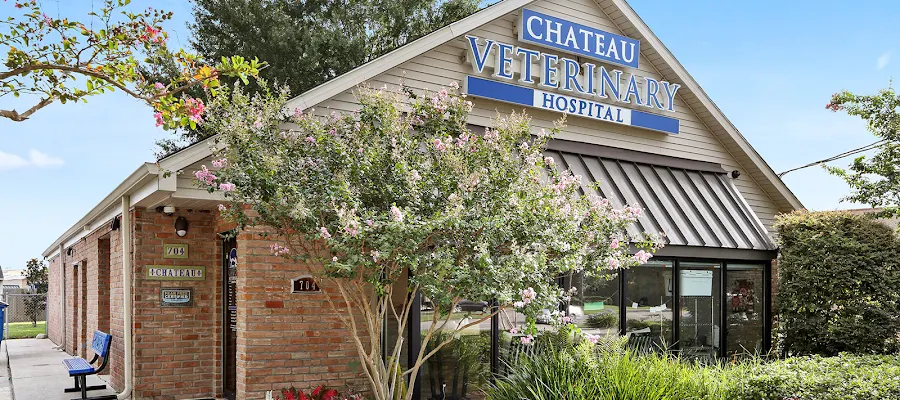 Chateau Veterinary Hospital