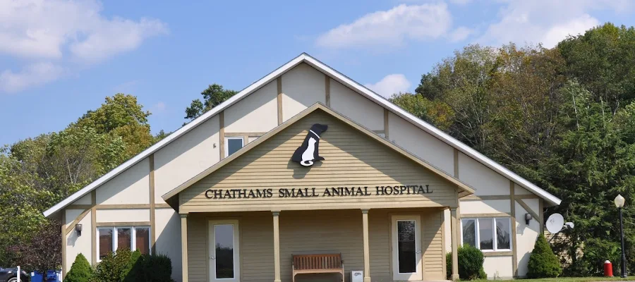 Chathams Small Animal Hospital