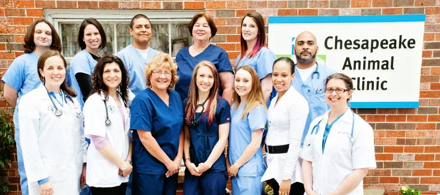 Chesapeake Animal Clinic