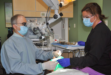 Chesapeake Endo