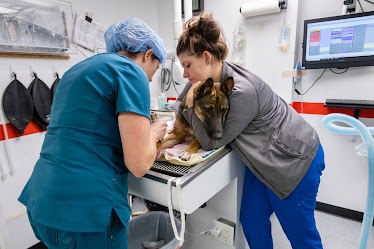 Columbia Animal Clinic