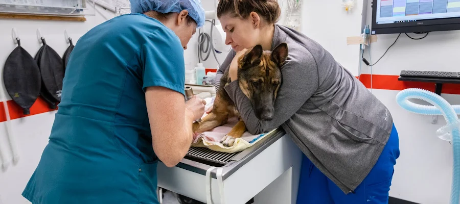 Columbia Animal Clinic