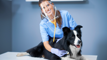 Combs Veterinary Clinic