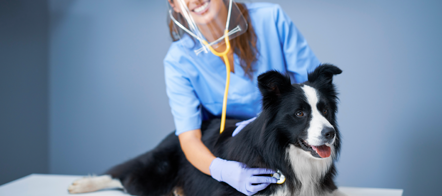 Combs Veterinary Clinic